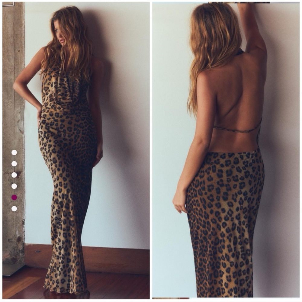 Zara Leopard Print Backless Dress